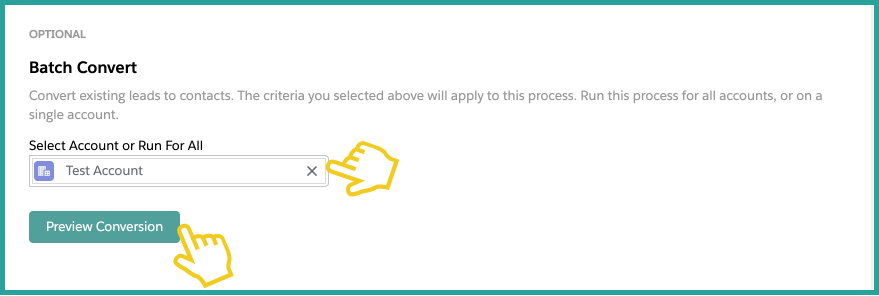 Auto Convert a Lead into an Account